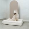 Elegante cama ortopédica para perros con funda bouclé blanca