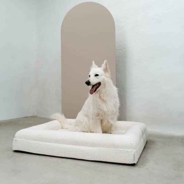 Elegante cama ortopédica para perros con funda bouclé blanca