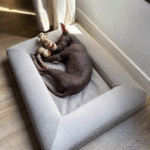 cama ortopédica premium